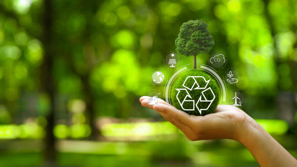 istock Earth Day, renewable,Energy,sustainable,Environment,Reuse,Reduce,Recycle Ecosystem,Zero waste,net zero,CSR,ESG concept.Green earth ball in hand and Recycle Sustainable sign in green bokeh background. 2198494111