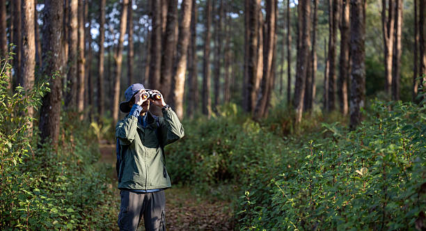 istock Bird watcher is looking through binoculars while exploring in the pine forest for surveying and discovering the rare biological diversity and ecologist on the field study 2198494356