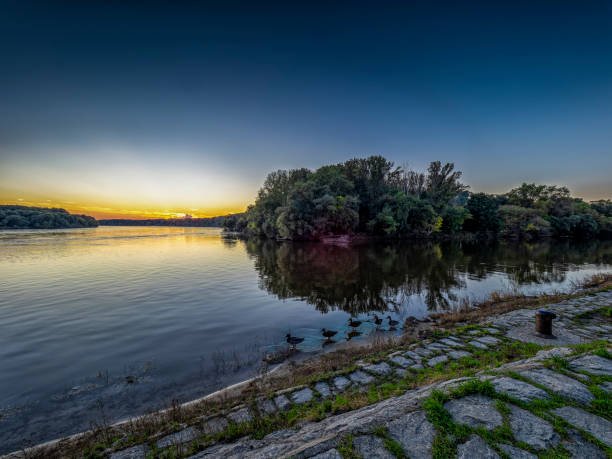Ducks wade along the Danabe riverbank during a colorful sunset over water at Devin, Slovakia.