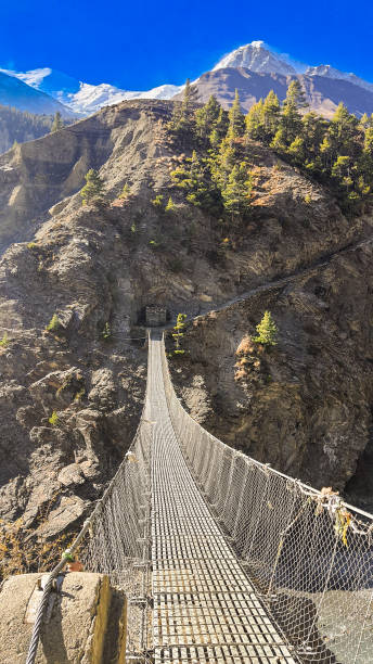 istock A suspension bridge across a gorge. 2198495255