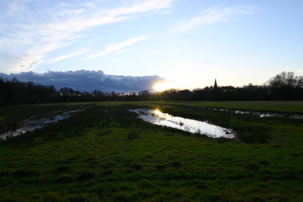 istock Natural Reserve Boberger Niederung in Hamburg 2198501453