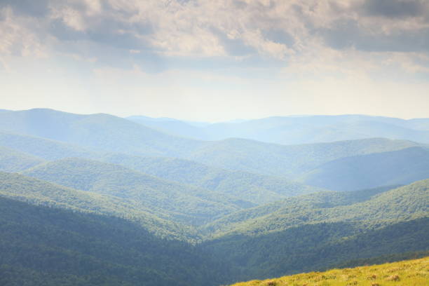 Experience stunning mountain views, lush grass, and vibrant wildflowers in this picturesque landscape