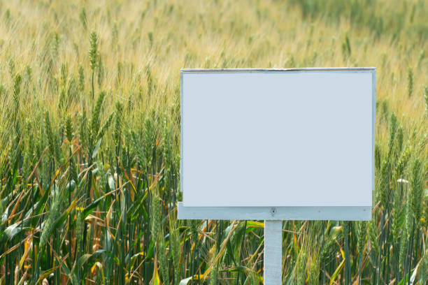 istock Empty signboard near a wheat field. Growing grain crops. 2198508769