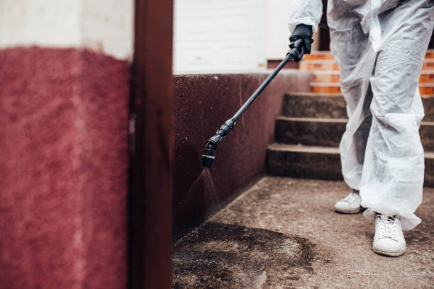 istock Spraying, disinfection and decontamination 2198514212