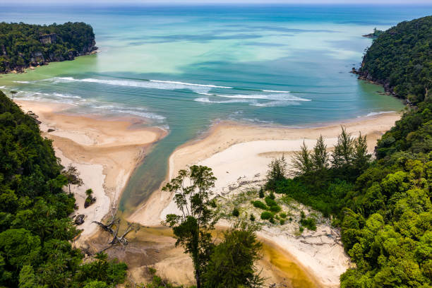 istock Sandy beach surrounded by tropical jungle in Sarawak, Borneo 2198514574
