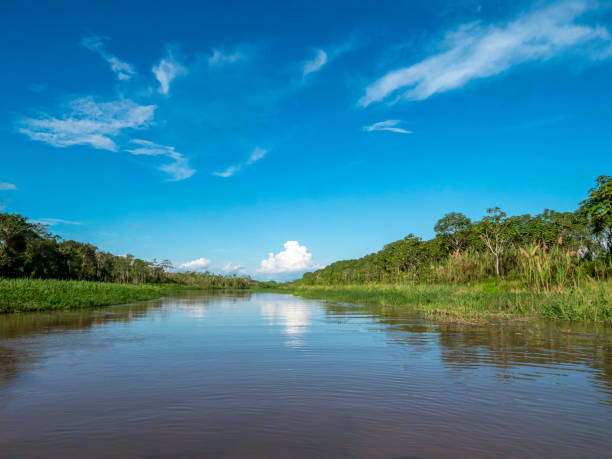 istock Amazon river landscape on a branch of the Amazon. 2198516629