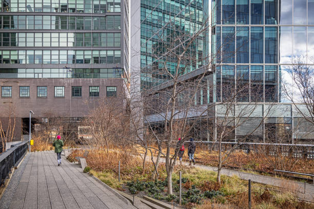 The High Line, Manhattan, New York, United States - January 4th 2025:  People walking on The High Line between the leafless trees at a cold winter day