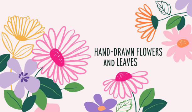 Hand drawn daisy flowers and leaves background. Spring background.