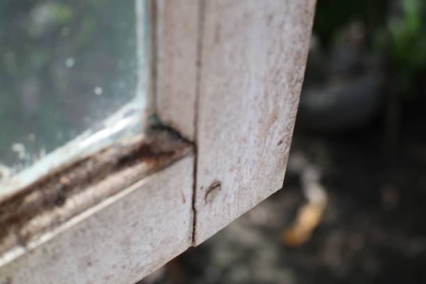 istock Weathered window corner with textured frame and glass reflecting nature 2198527519