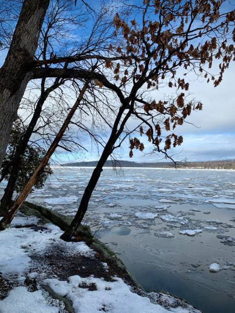 istock Snowy Trees by a Frozen River (Hudson Valley, New York) 2198528470