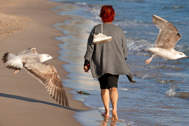 benidorm  spain  february - 5  - 2025  an unknown woman walks alone and barefoot on a sandy beach in the city of Benidrom and the beach is called Poniente in the country of Spain
