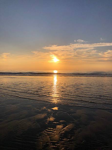 Golden sunset over a calm North Sea beach. The warm light reflects off the wet sand and gentle waves, creating a tranquil and serene atmosphere. Perfect for illustrating peaceful coastal moments and nature’s beauty.