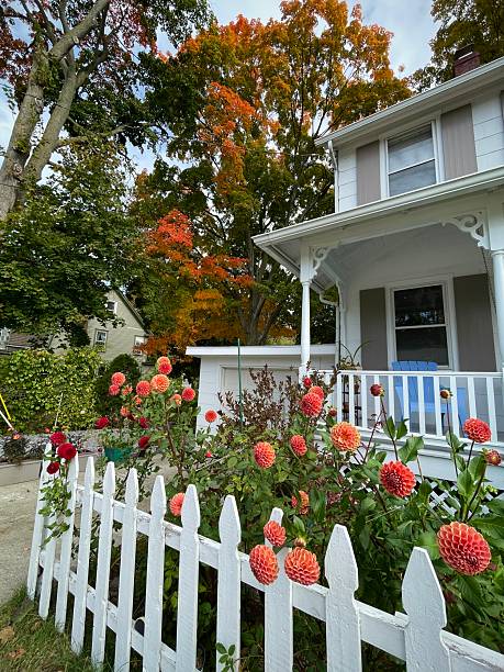Charming Autumn Garden with Dahlia Flowers (Hudson Valley, New York, USA) stock photo