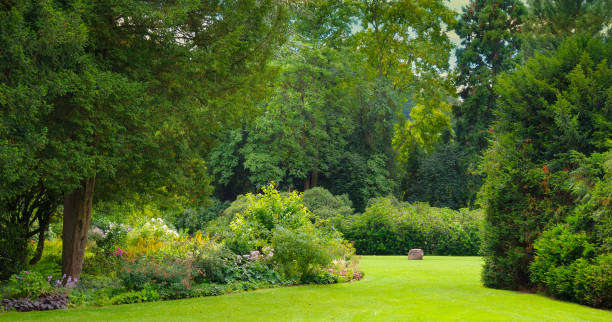 istock Beautiful garden with coniferous and deciduous trees. 2198540339