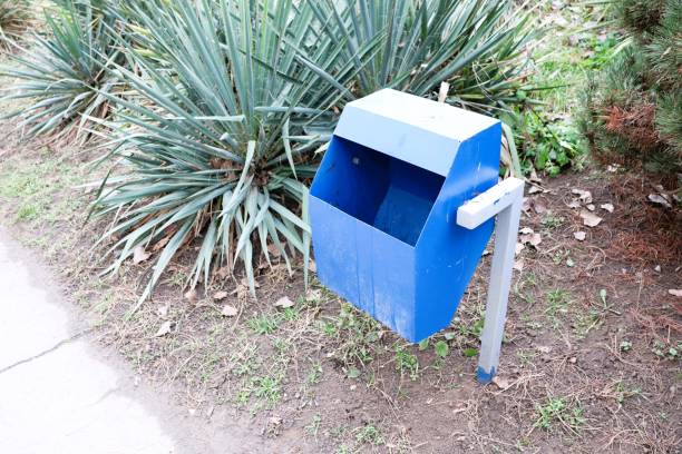 istock The Distinctive Blue Mailbox Beautifully Positioned in a GardenLike Environment Setting 2198542413