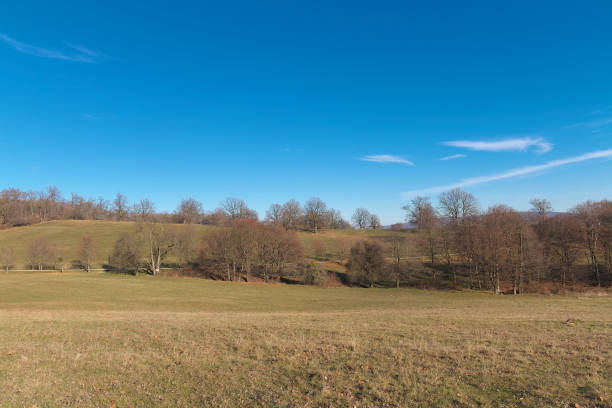 Picturesque landscape with trees and open fields.