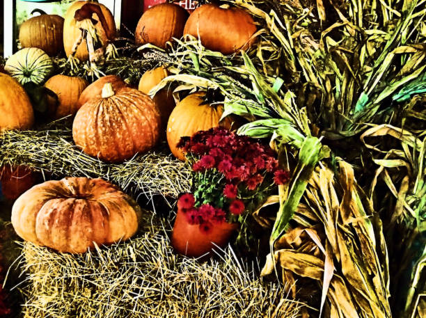 Display of Pumpkins in The Autumn