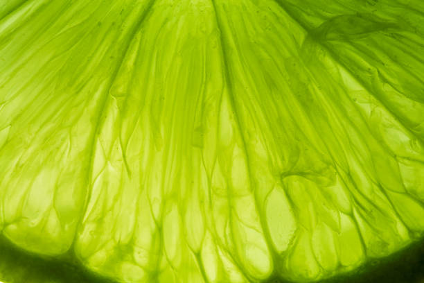 istock Close-up macro lemon texture,texture of lime fruit background close-up macro. Fruit in water under water 2198544968