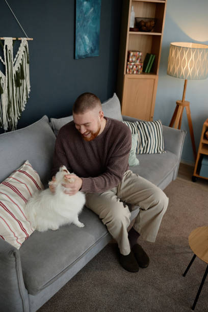 istock Smiling Man Petting Cat While Sitting in Living Room 2198546043