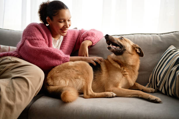 Smiling Woman Playing with Her Loyal German Shepherd Dog