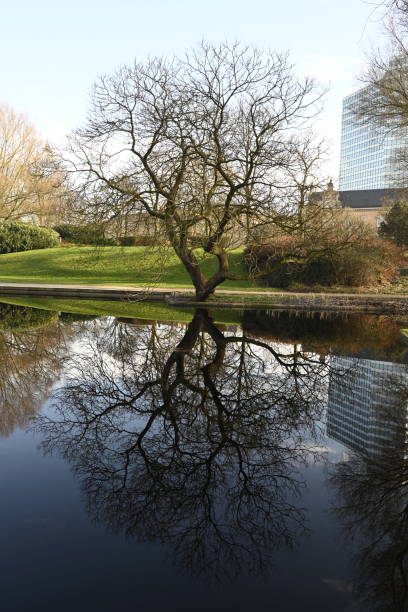 istock Reflection effects at a Hamburg City Park 2198546482