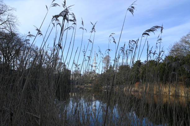 istock Reflection effects at a Hamburg City Park 2198546538