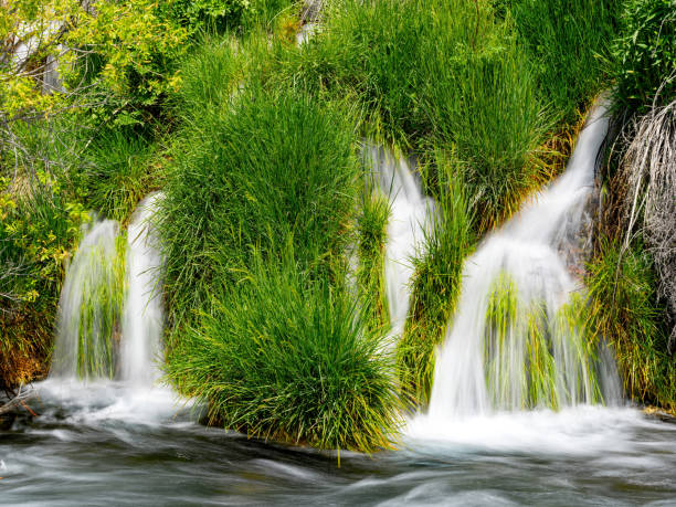 istock Warm water spring flow out of a hillside 2198547190
