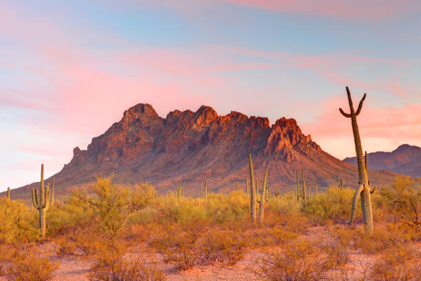 istock Ironwood Forest National Monument in Arizona 2198547222