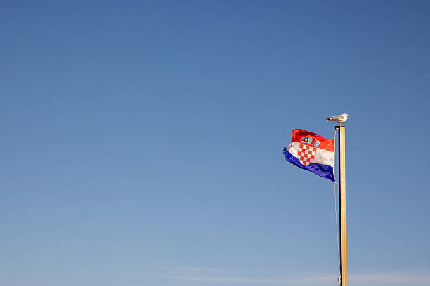 A Croatian flag waving gently in the wind, accompanied by a seagull perched on the flagpole against a vast blue sky, symbolizing identity and freedom.