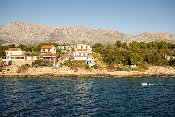 This image beautifully captures lush greenery and coastal harmony, showcasing the vibrant connection between land and sea, set against a backdrop of majestic mountains in sunlight.