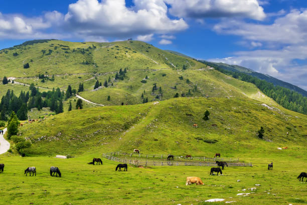 View of Dobratsch mountain from Villach Alpine road, Austria