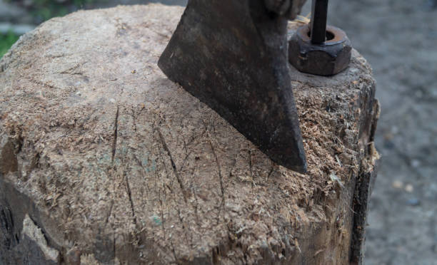 istock The axe got stuck in a stump for chopping firewood. 2198548088