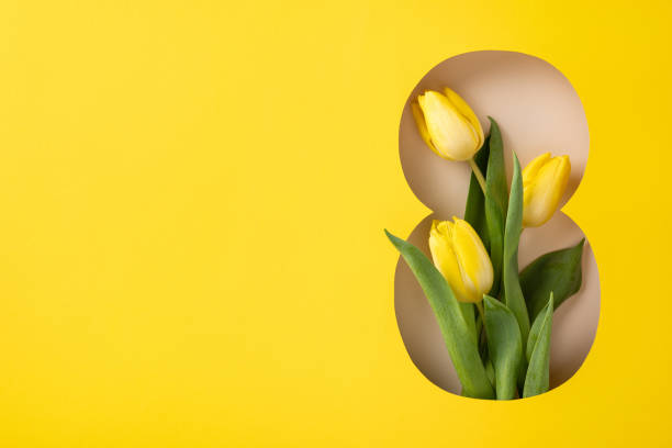 istock Yellow tulips creatively displayed against a vibrant yellow backdrop symbolizing spring and joy 2198550773