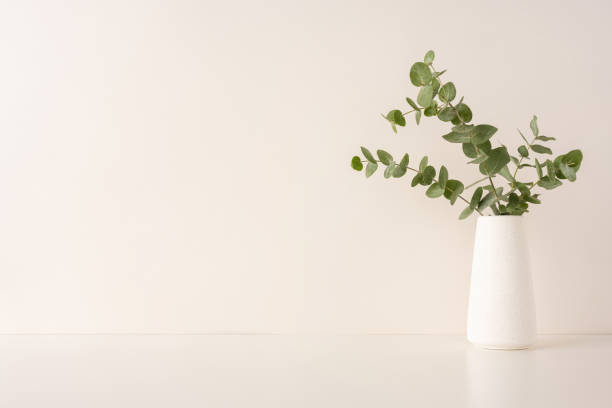 istock Eucalyptus branches arranged in a minimalist white vase with a neutral background. This simple composition exudes a sense of calm and sophistication 2198550801