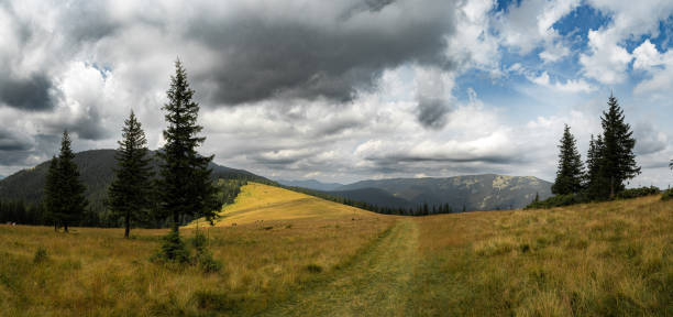 A narrow path winds through a meadow of golden grass, leading towards a distant horizon filled with mountains. The scene feels peaceful, with a sense of quiet anticipation in the air.