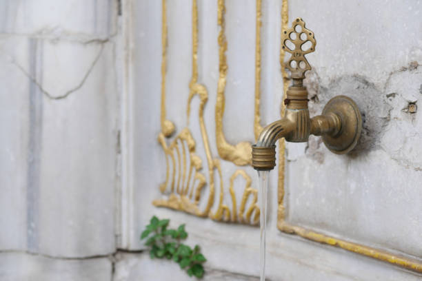 A vintage water faucet enhances an ivyadorned wall, adding character and charm