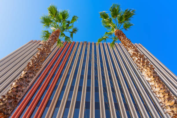 Striking view of a contemporary building facade in downtown Riverside, framed by tall palm trees and a bright blue sky.
