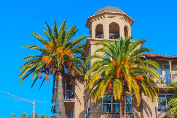 istock Typical architecture with palm trees in Riverside, California 2198558780
