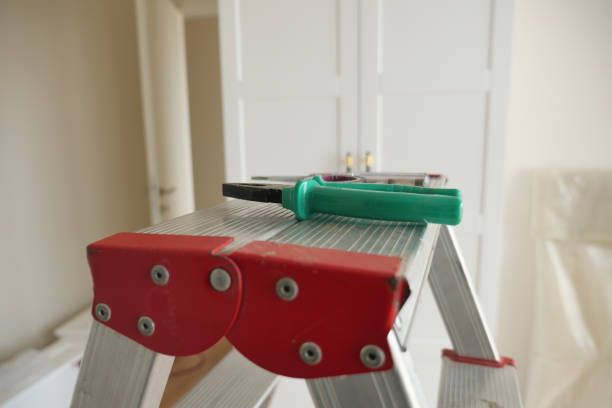 A green tool is placed on top of a sturdy aluminum ladder indoors, showcasing design