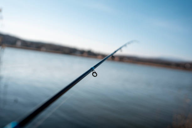 A close up shot of four fly fishing rods propped up, ready to be used by fisherman in Central Oregon.