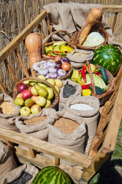 istock Bags and baskets are filled with various vegetables. Autumn harvest 2198562146
