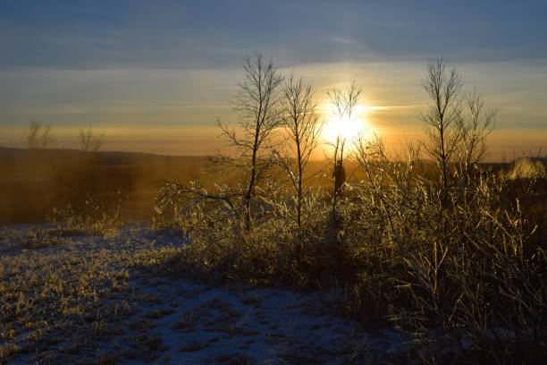 A stunning Icelandic sunset casts golden light over frozen trees, with mist rising in the cold air, creating a surreal winter landscape.