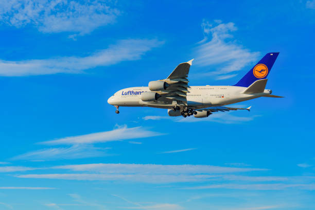 Los Angeles, California - January 6, 2025: Lufthansa Airbus A380 in descent against a bright blue sky, showcasing its large size and distinctive branding as it prepares to land.