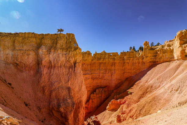 Explore the stunning beauty of Bryce Canyons vibrant rock formations and lush greenery surrounding it