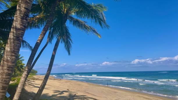 istock Atlantic ocean Beach , Cabarete Dominican Republic 2198569817