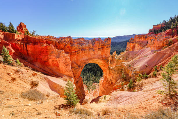 Explore the stunning beauty of Bryce Canyons vibrant rock formations and lush greenery surrounding it