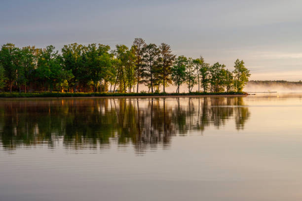 Row of trees reflection in water