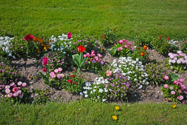 istock Colorful flower bed in a well-maintained garden 2198581006
