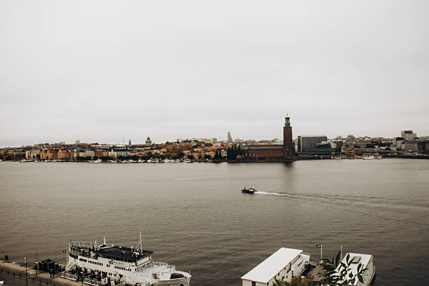 A panoramic view of Stockholm's waterfront featuring City Hall and boats.