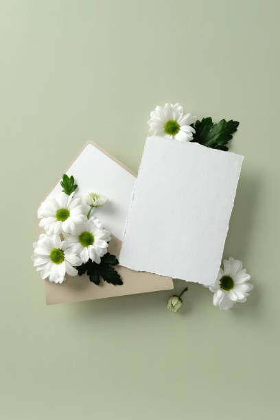 istock Blank white card with rough edges and envelope decorated with white daisies on a light green background, perfect for invitations, greetings 2198591843